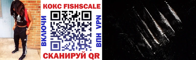 COCAIN Fish Scale  магазин    Полярные Зори 