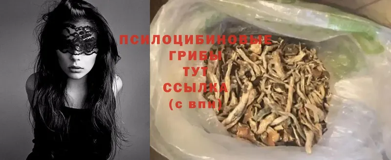 Галлюциногенные грибы Psilocybe  хочу наркоту  Полярные Зори 