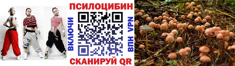 Галлюциногенные грибы мухоморы  где можно купить наркотик  kraken как зайти  Полярные Зори 